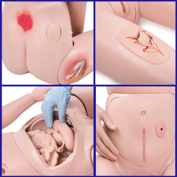 MANICHINO MODELLO VERS. PRO PER LA CURA DEL MALATO - peso 15kg - 174cm - per esercitazioni