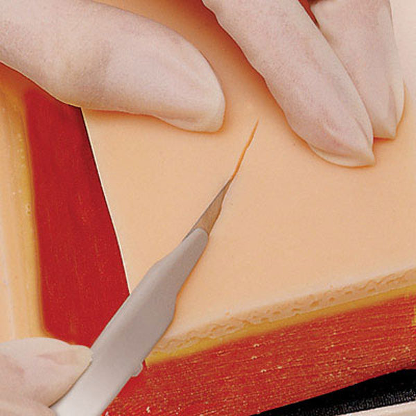 KIT SIMULATORE DI SUTURA - 15x10x4cm