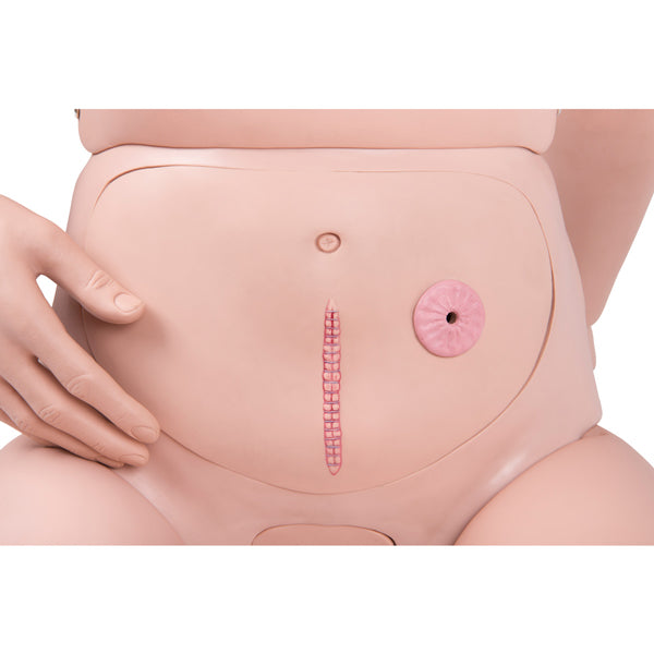 MANICHINO MODELLO VERS. BASIC PER LA CURA DEL MALATO - peso 19kg - 174cm - per esercitazioni